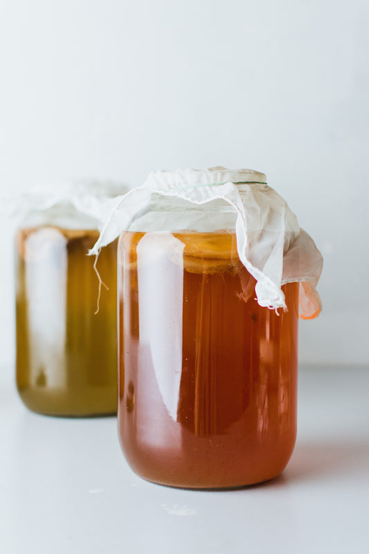 Fermented Foods 101